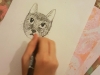 animal-drawing